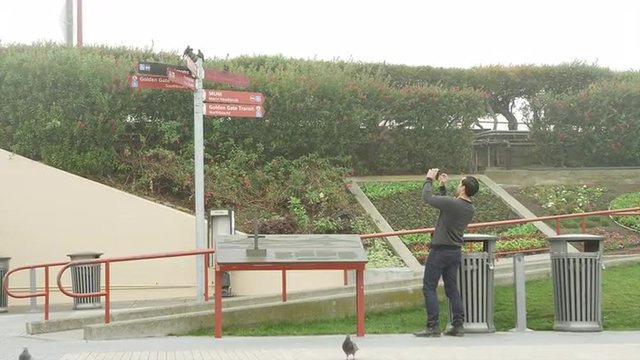 A man takes pictures of birds on a sign near golden gate bridge park
