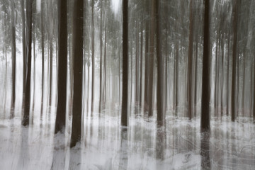 Deutschland, Niedersachsen, Harz, Wurmberg, Tannenwald, Schnee