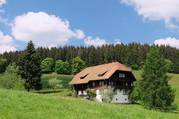 Fototapeta na wymiar im Hochschwarzwald beim Schluchsee