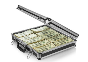 Silver case with money
