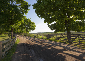 Fototapeta premium the road on a farm 