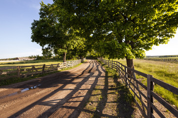 Fototapeta premium rural areas 