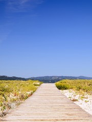 Wooden walkway to the beach.