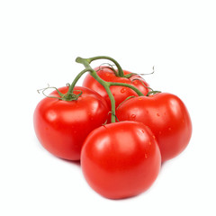 A branch of fresh tomatoes on white background.