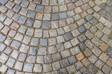 Grey cobblestone pavement after the rain in the Czech Republic