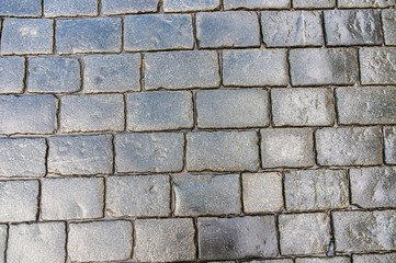 Grey cobblestone pavement after the rain in the Czech Republic