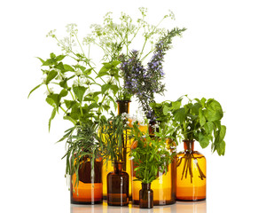 Verschiedene Heilpflanzen in alten Apothekerflaschen isoliert © eyewave