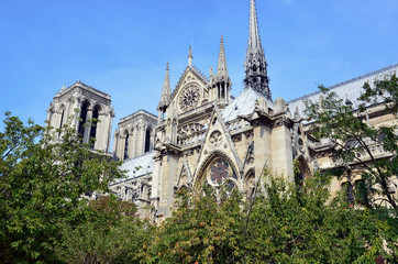 Obraz premium The cathedral of Notre Dame in Paris . France