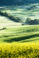 Spring landscape of fields Tuscany