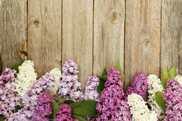Beautiful lilac on grey wooden background