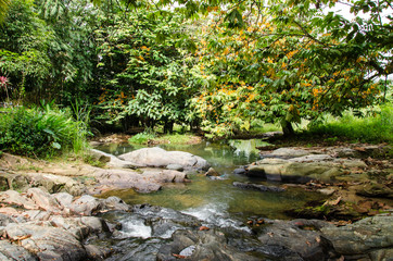 Wild River in green forest - Mountain river. Tranquil scenery in the middle of green forest.