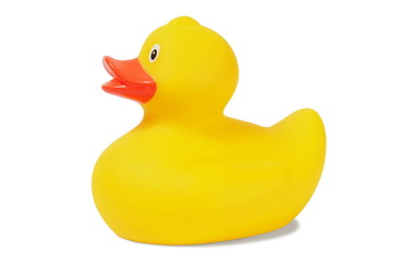 Rubber duck
