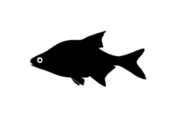 Silhouette of the fish bream