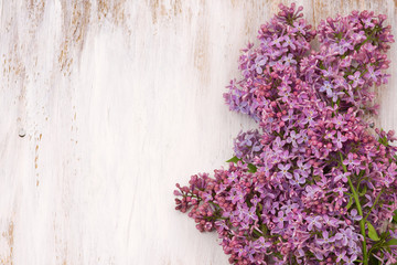 Fresh lilac flowers on the white painted wooden surface.