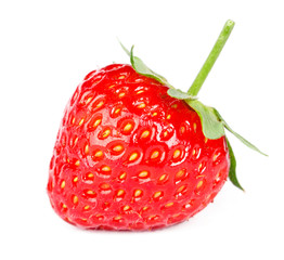 Strawberry on white background