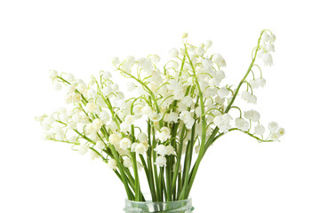 Lily of the Valley on white background