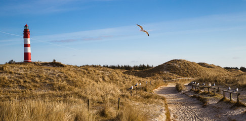 Dünen von Amrum 