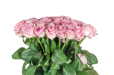 bouquet of pink roses - 84043039