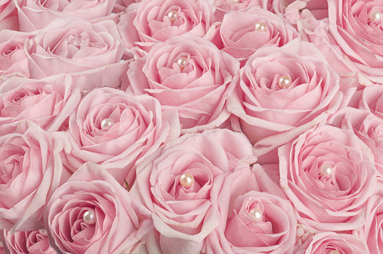 background of roses with pearls