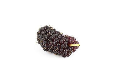 Mulberry Isolated on white background