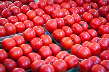 Fresh Red Persimmons for Sale in the Market