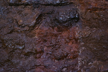 Naklejka premium wine cellar texture finish