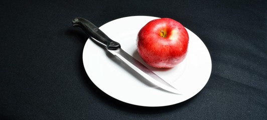 mela biologica varietà idared