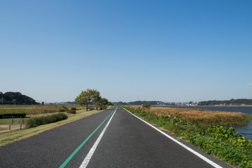 サイクリングロード