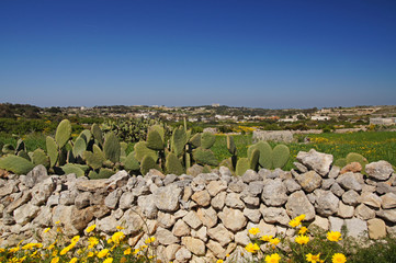 Mur de pierres dans la campagne de Dingli