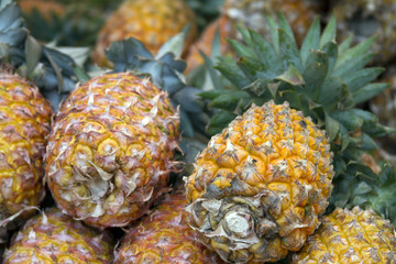 Fresh juicy pineapple on the market in India Goa
