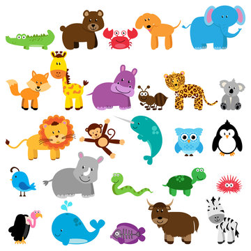 Vector Collection of Animals