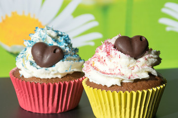 Cupcakes de chocolate y coco
