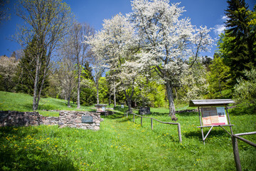 Fototapete bei efototapeten.de bestellen   