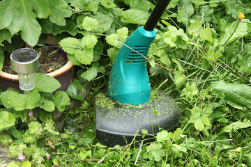 Taille de gazon avec un coupe-herbe © hcast