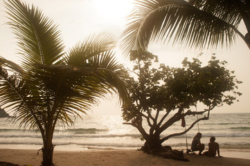 Coconut palms on the beach.