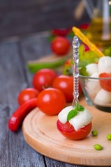 Delicious appetizer  caprese
