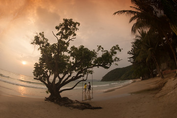 Tree and swings on beach.