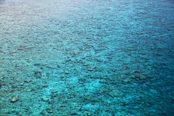 Aerial view of tropical coral reef 