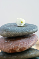 Flowers in a bowl color of brown with stone for SPA