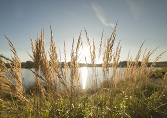 Sonnenuntergang am See