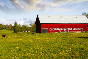 old farm and fields set in a rural landscape, Sweden