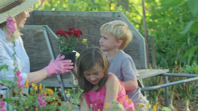 Two kids learn to garden with their grandmother's help