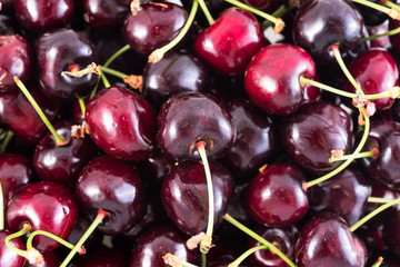 bunch of fresh dark red cherries isolated