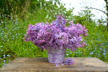 Grußkarte Frühling - lila Blumenstrauß im Garten - syringa vulgaris