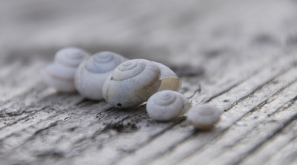 unbewohnte Reihenhausanlage