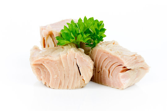 Thunfisch