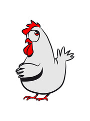 Lay chicken