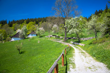 Village Kaliste, Slovakia