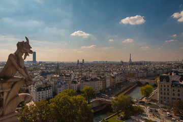 Paris view from Notre Dame Cathedral Tower