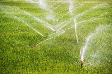 Irrigation system on a industrial farm